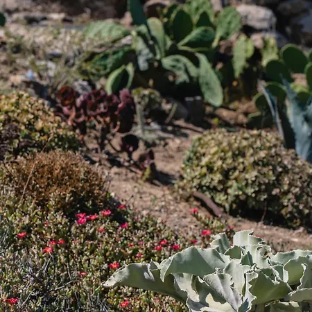 Margarita House Semesterbostad Mykonos Town