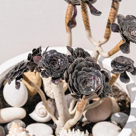 Vakantiehuis Margarita House Mykonos Town