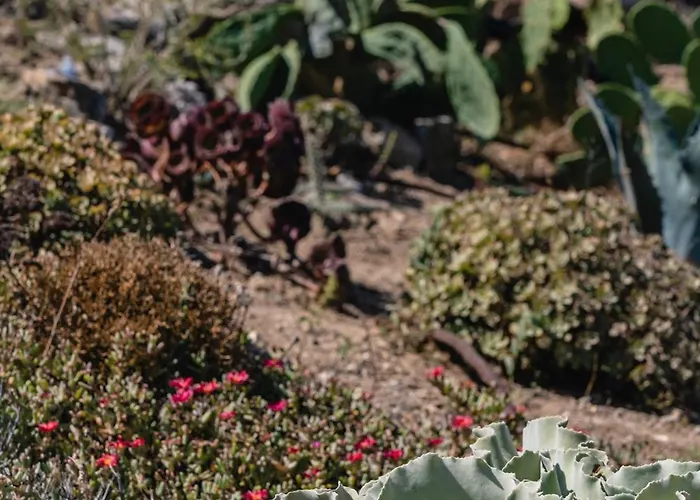 Margarita House Feriehus Mykonos Town