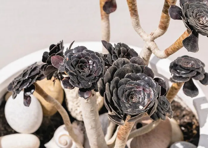 Semesterbostad Margarita House Mykonos Town